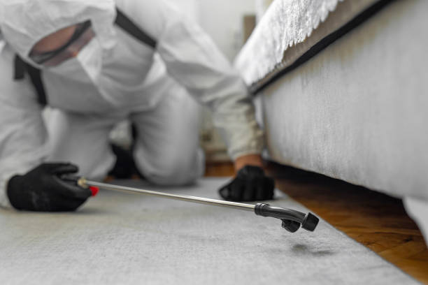 Professional Bed Bug Control technician working in Bristol, IN